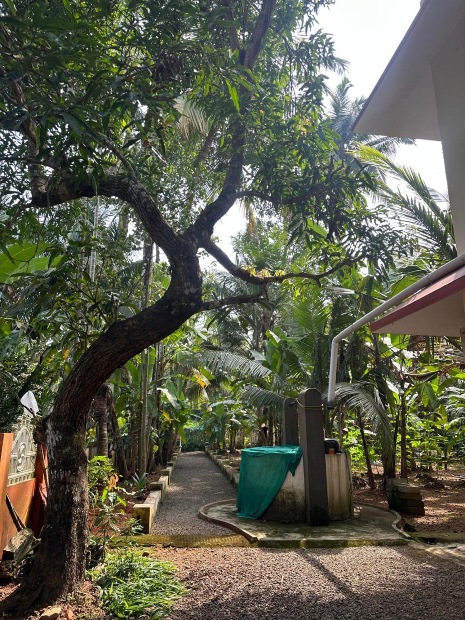 Apartamento Prabhalayam Kottayam Exterior foto